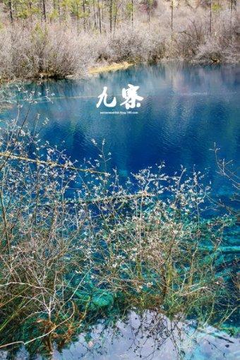 燃烧的蔬菜4新鲜战队
